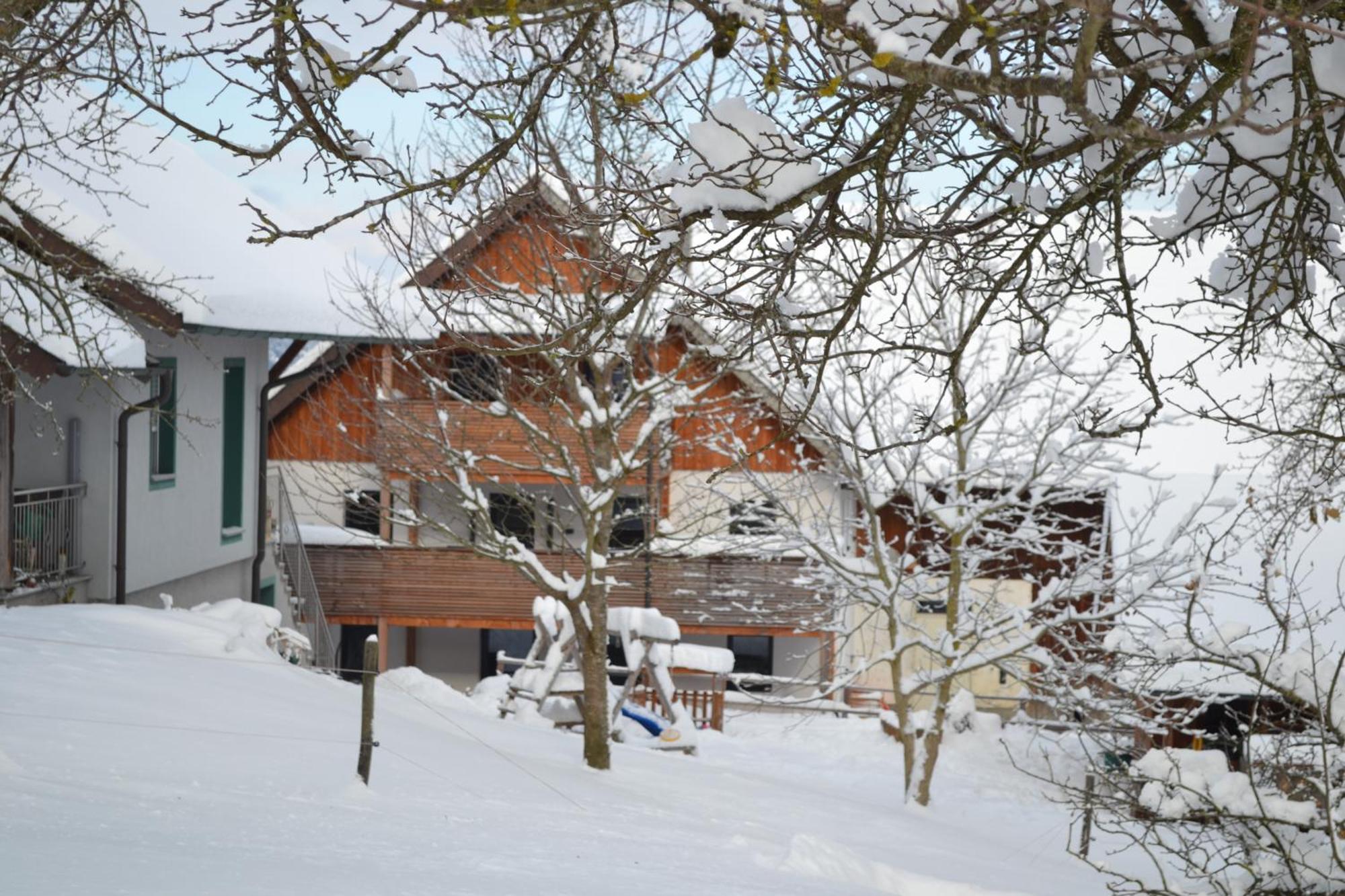 Biohof Auinger, Der Tiererlebnishof Apartment Aurach am Hongar Exterior photo
